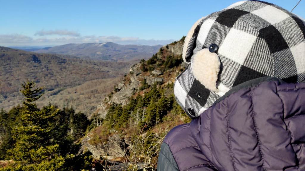 Giants in the&nbsp;Sky