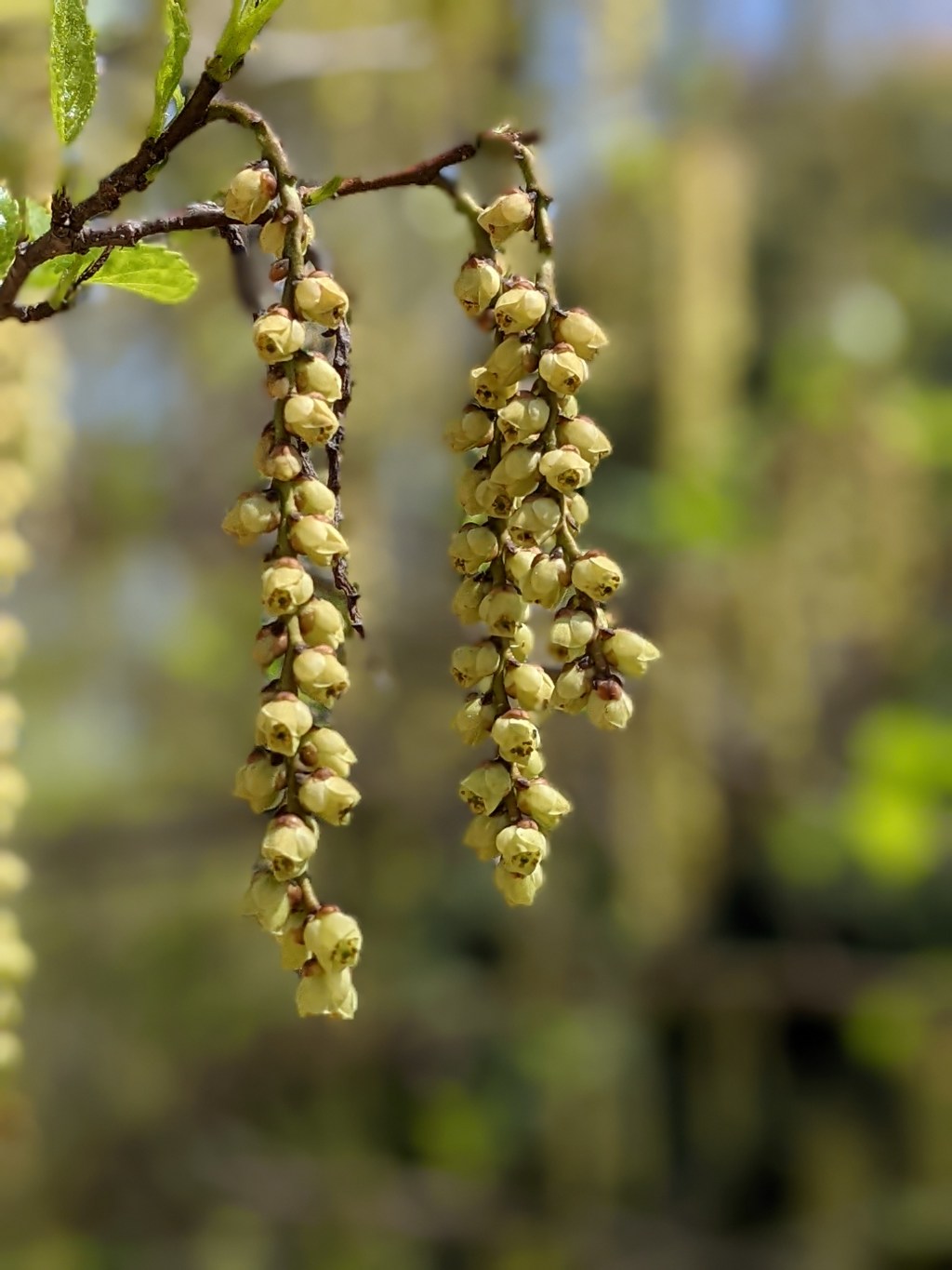 I Think I’d Be&nbsp;Okay