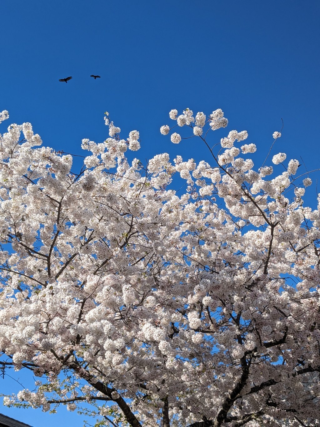 In Which Reality is Too&nbsp;Much